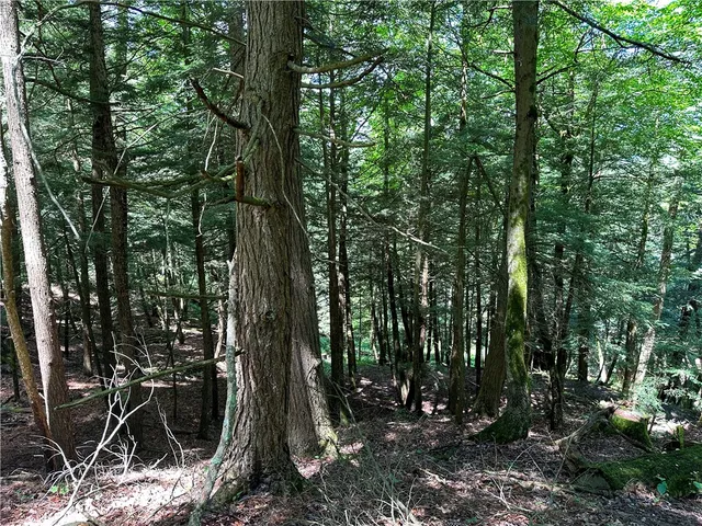 $169,900 | Vl Otis Smith Road, Hunt, NY 14846