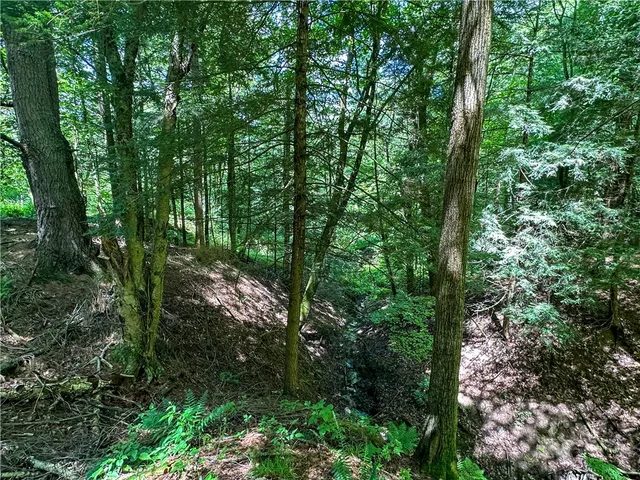 $169,900 | Vl Otis Smith Road, Hunt, NY 14846