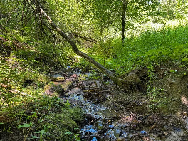 $169,900 | Vl Otis Smith Road, Hunt, NY 14846