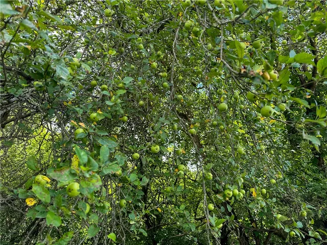 $169,900 | Vl Otis Smith Road, Hunt, NY 14846