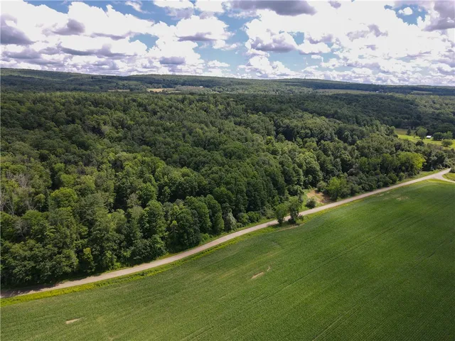 $169,900 | Vl Otis Smith Road, Hunt, NY 14846