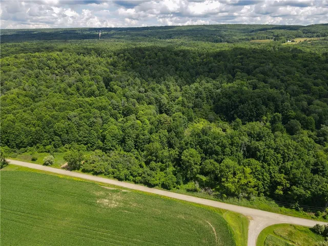 $169,900 | Vl Otis Smith Road, Hunt, NY 14846