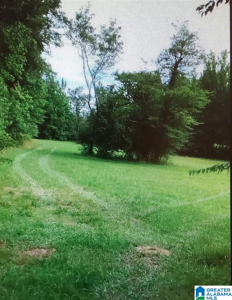 0 Antler Loop Rockford, AL 35136 - Photo 1 of 12