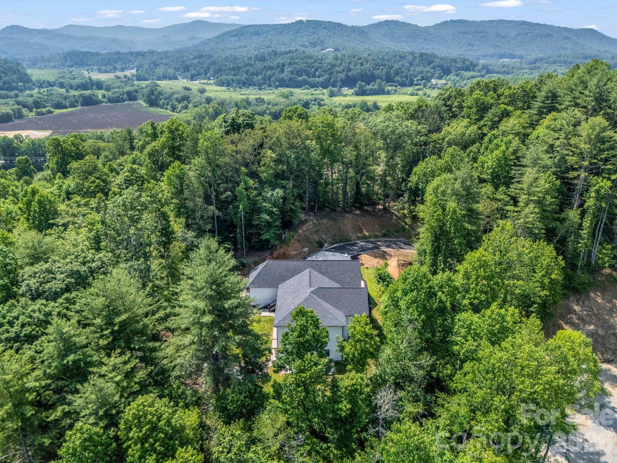 5717 Turnpike Road Horse Shoe, NC 28742 - Photo 35 of 36 an aerial view of a house with a yard