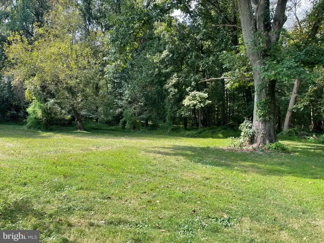 a view of a field with a tree