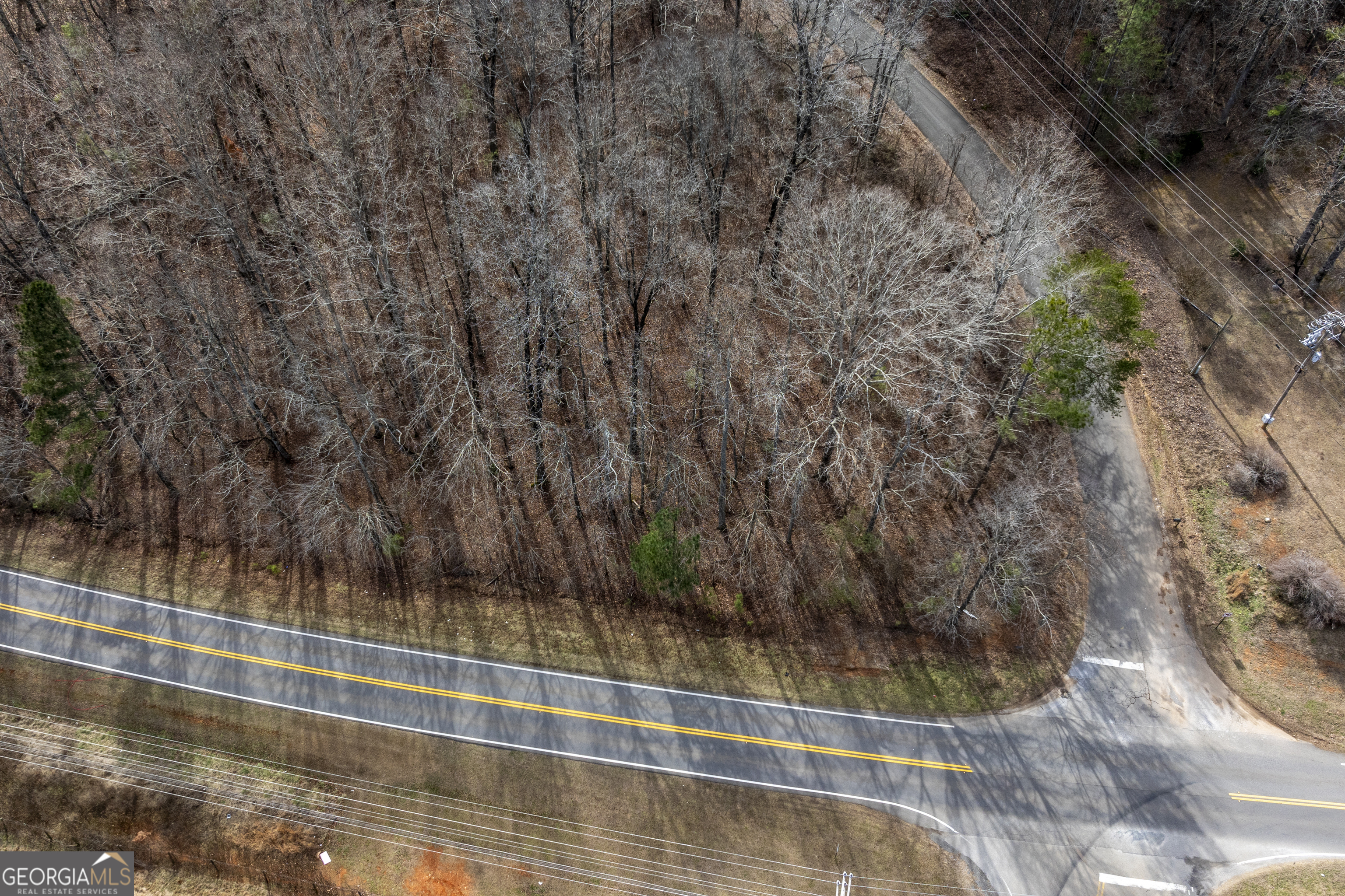 0 Cowart Mountain Tract 1 Road Jasper, GA 30143 - Photo 12 of 13