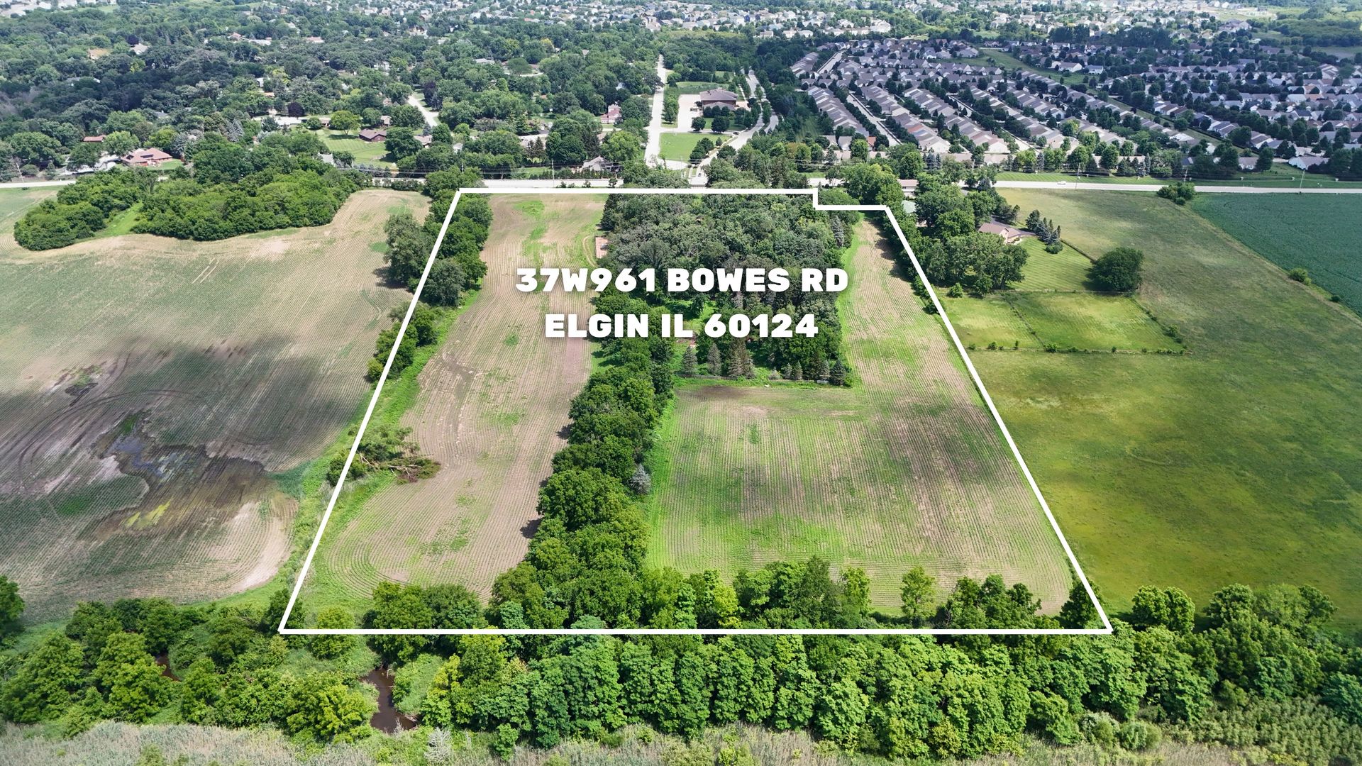 37W961 Bowes Road Elgin, IL 60124 - Photo 6 of 51