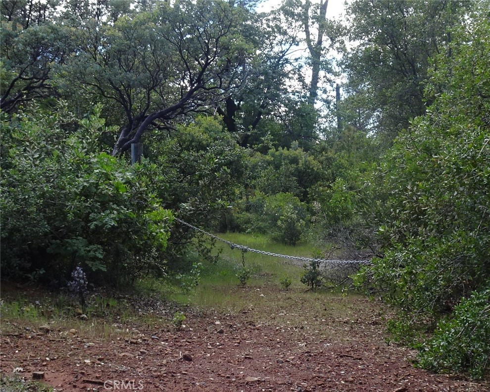 0 Powell Ridge Road Oroville, CA 95966 - Photo 5 of 9