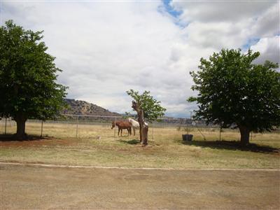 23328 East Kings Canyon Road Reedley, CA 93654 - Photo 6 of 10 Gallery Image 6