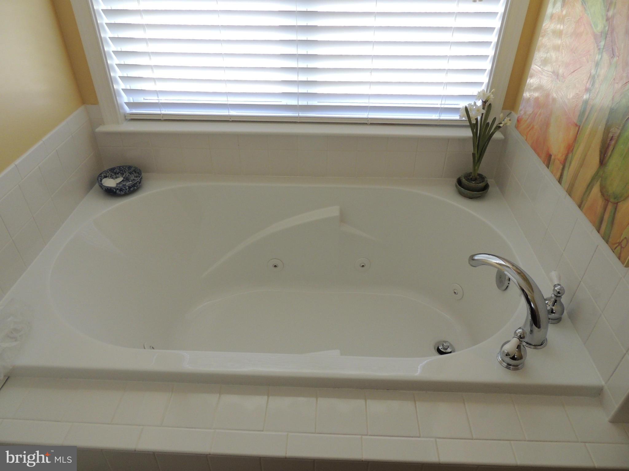 1012 Ridgemere Lane Culpeper, VA 22701 - Photo 18 of 23 Bath (Master)