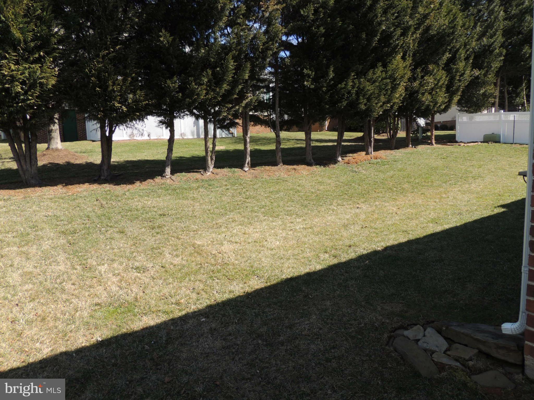 1012 Ridgemere Lane Culpeper, VA 22701 - Photo 22 of 23 Exterior (Rear)