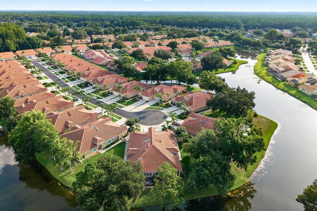 3857 Timber Ridge Court Palm Harbor, FL 34685 - Photo 53 of 56