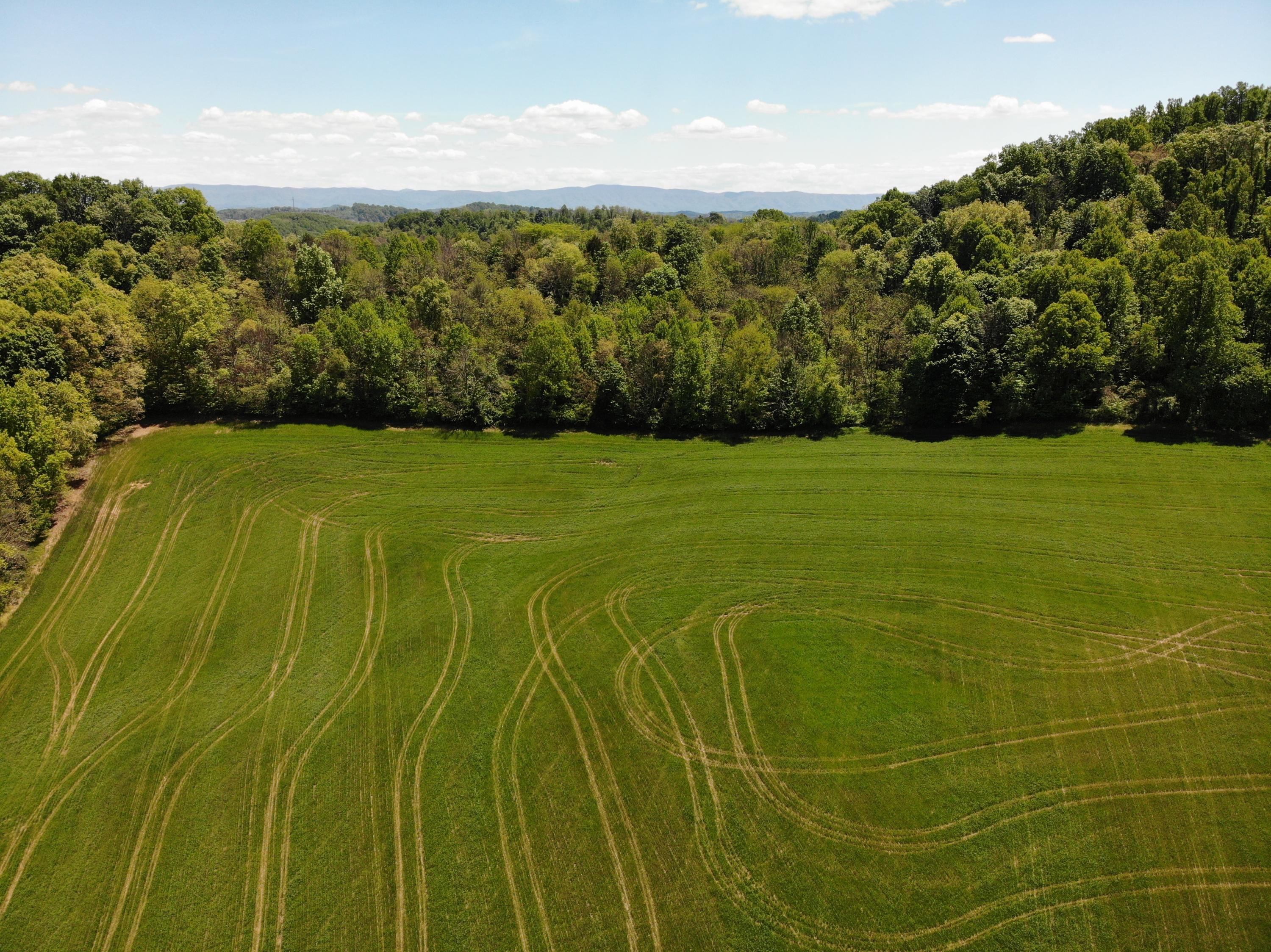Tbd Countiss Road Abingdon, VA 24210 - Photo 11 of 20 1_57