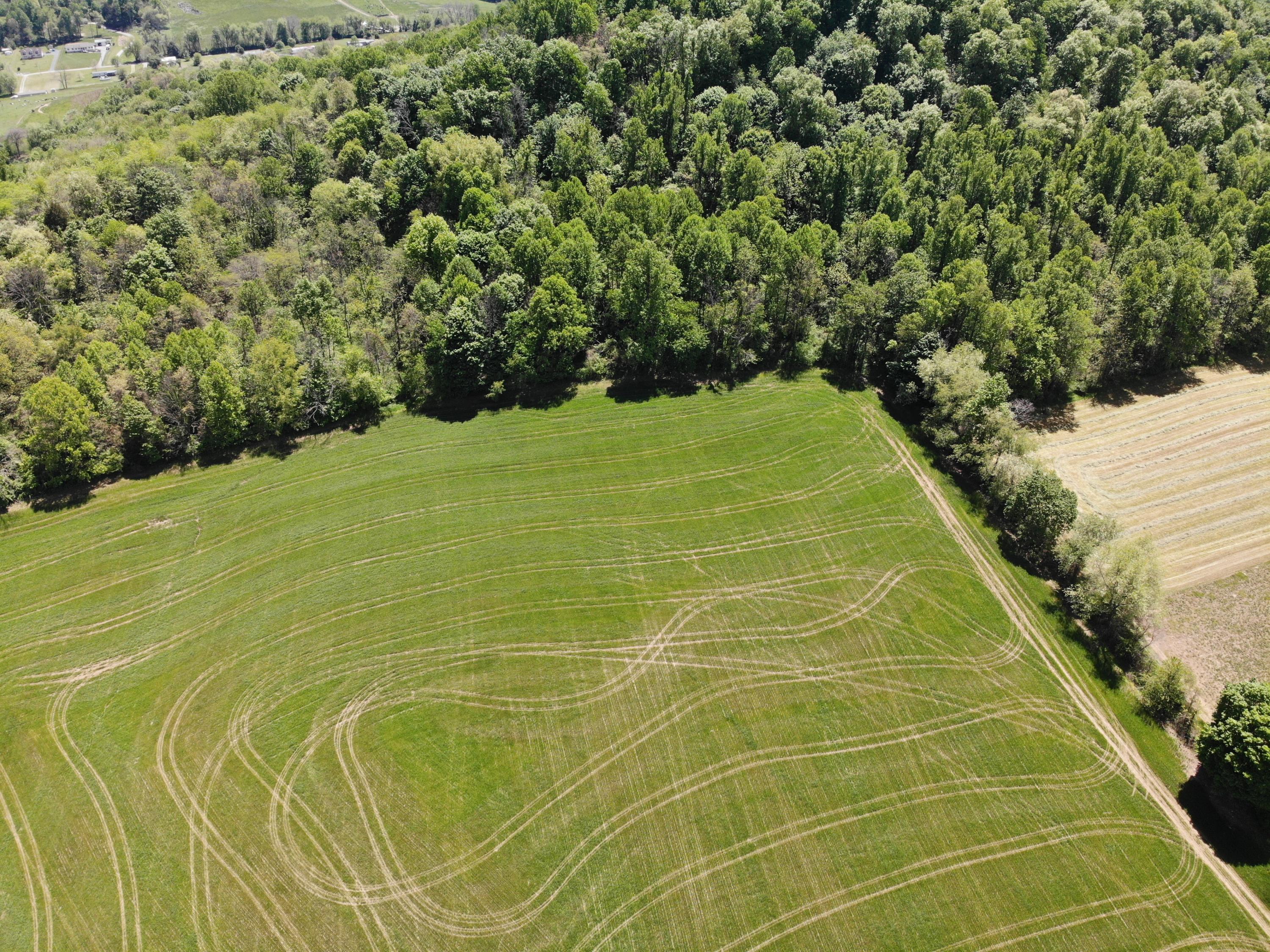Tbd Countiss Road Abingdon, VA 24210 - Photo 12 of 20 1_58(2)