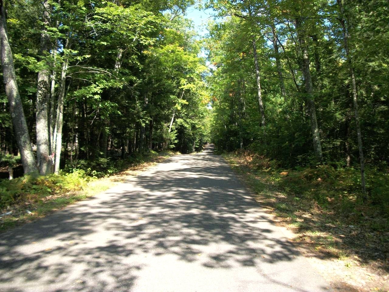 On Schroeder Road Minocqua, WI 54548 - Photo 12 of 13 Gallery Image 12
