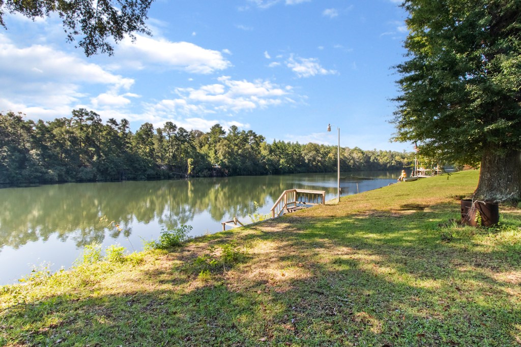 103 River Road Columbia, AL 36319 - Photo 7 of 25