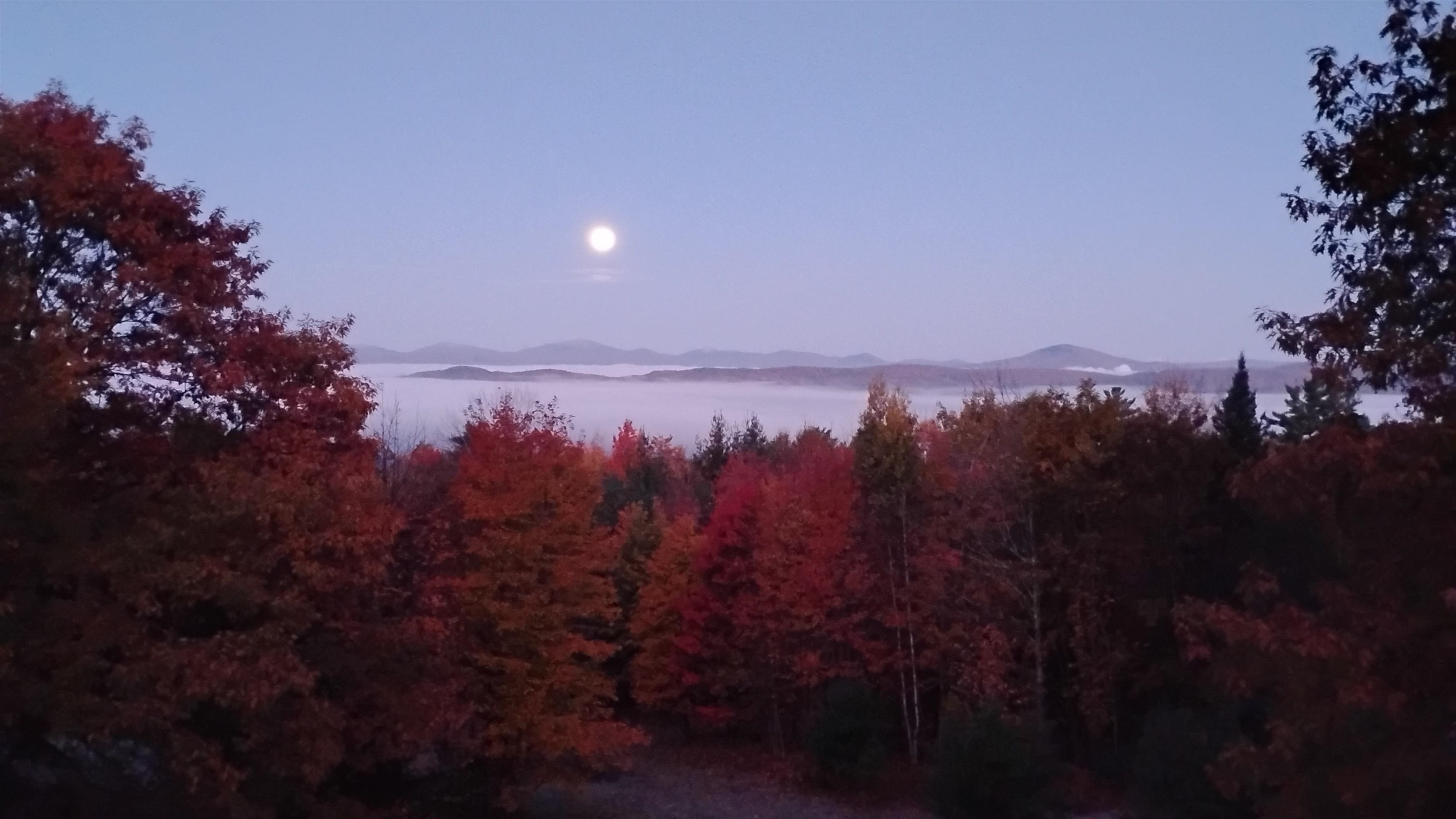 947 Foster Hill Road Landaff, NH 03585 - Photo 59 of 60