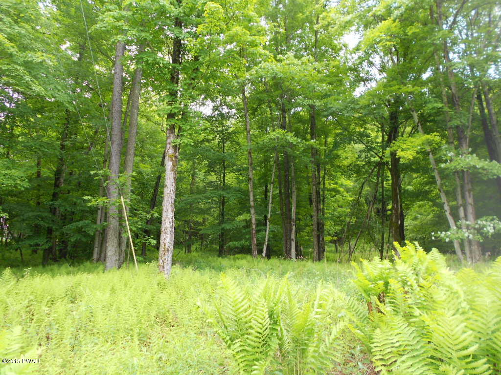 1601 Methol Road Roscoe, NY 12776 - Photo 2 of 4