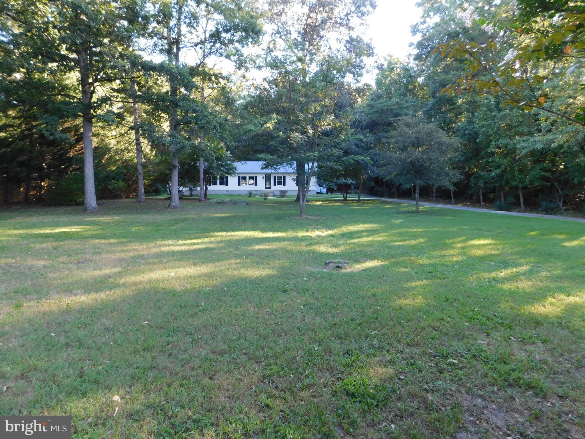 a view of a trees in a yard
