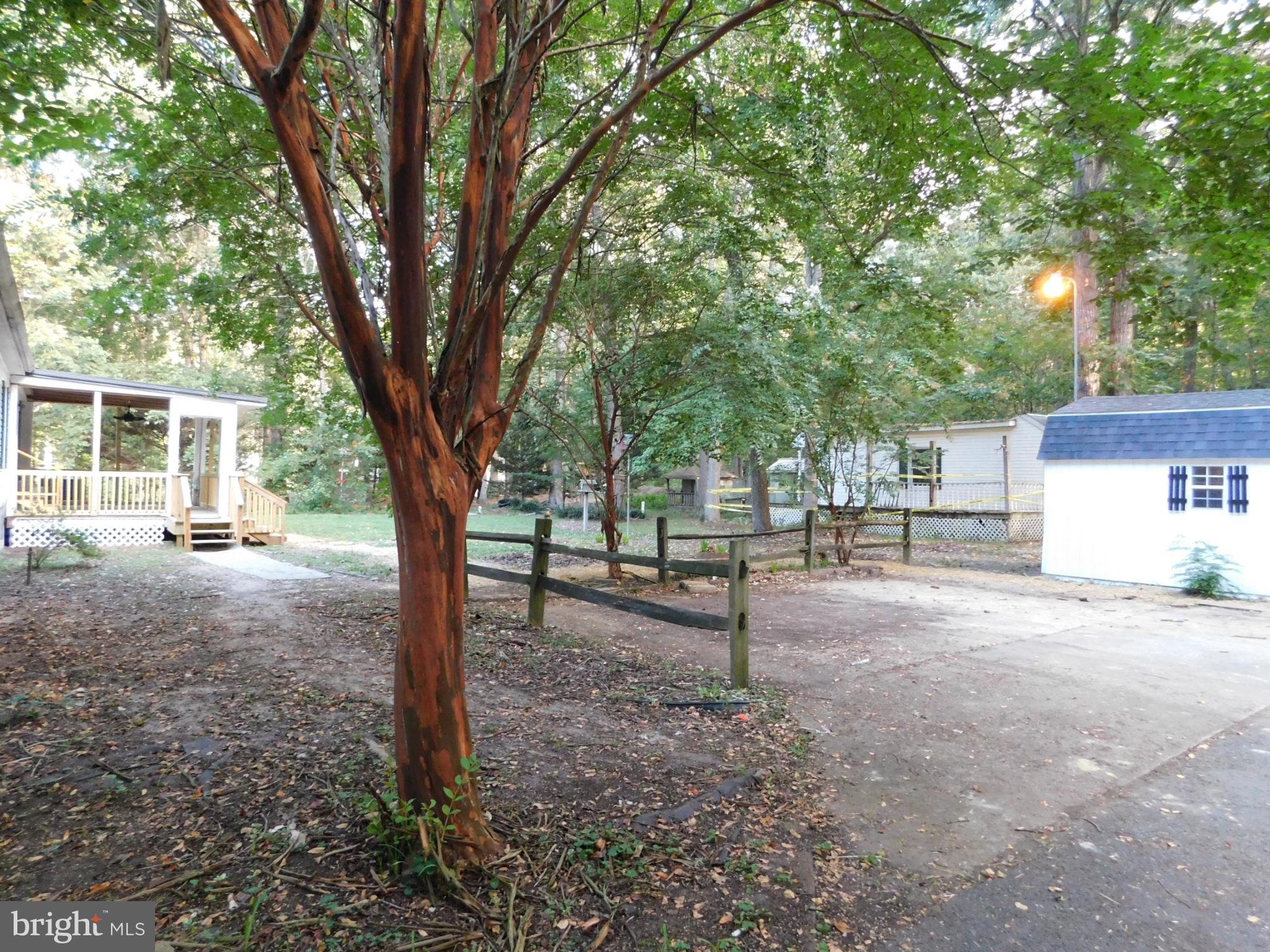 2608 Hunting Quarter Road Houston, DE 19954 - Photo 48 of 58 a view of a house with backyard and a tree