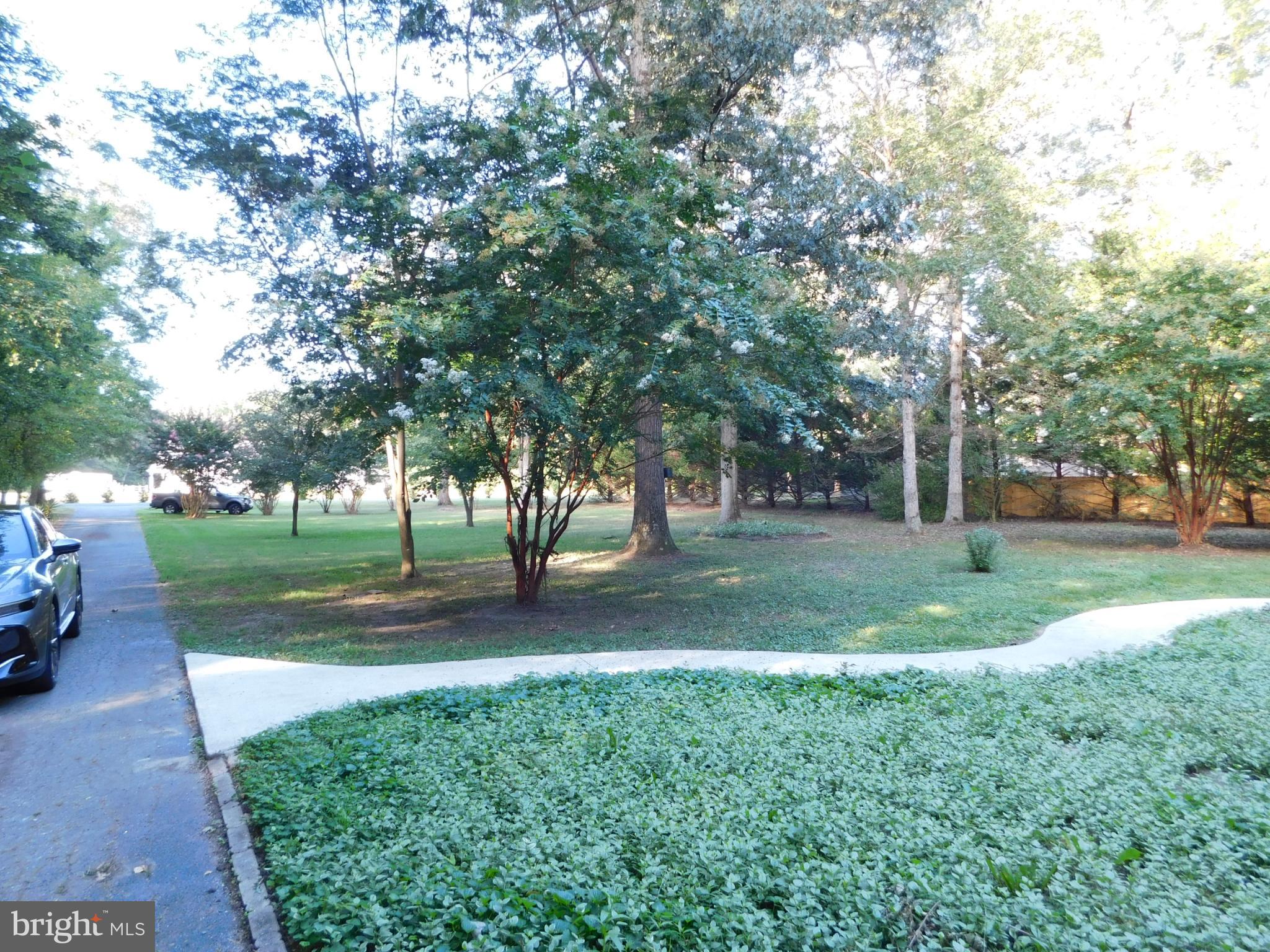 2608 Hunting Quarter Road Houston, DE 19954 - Photo 55 of 58 a view of a tree in front of a house