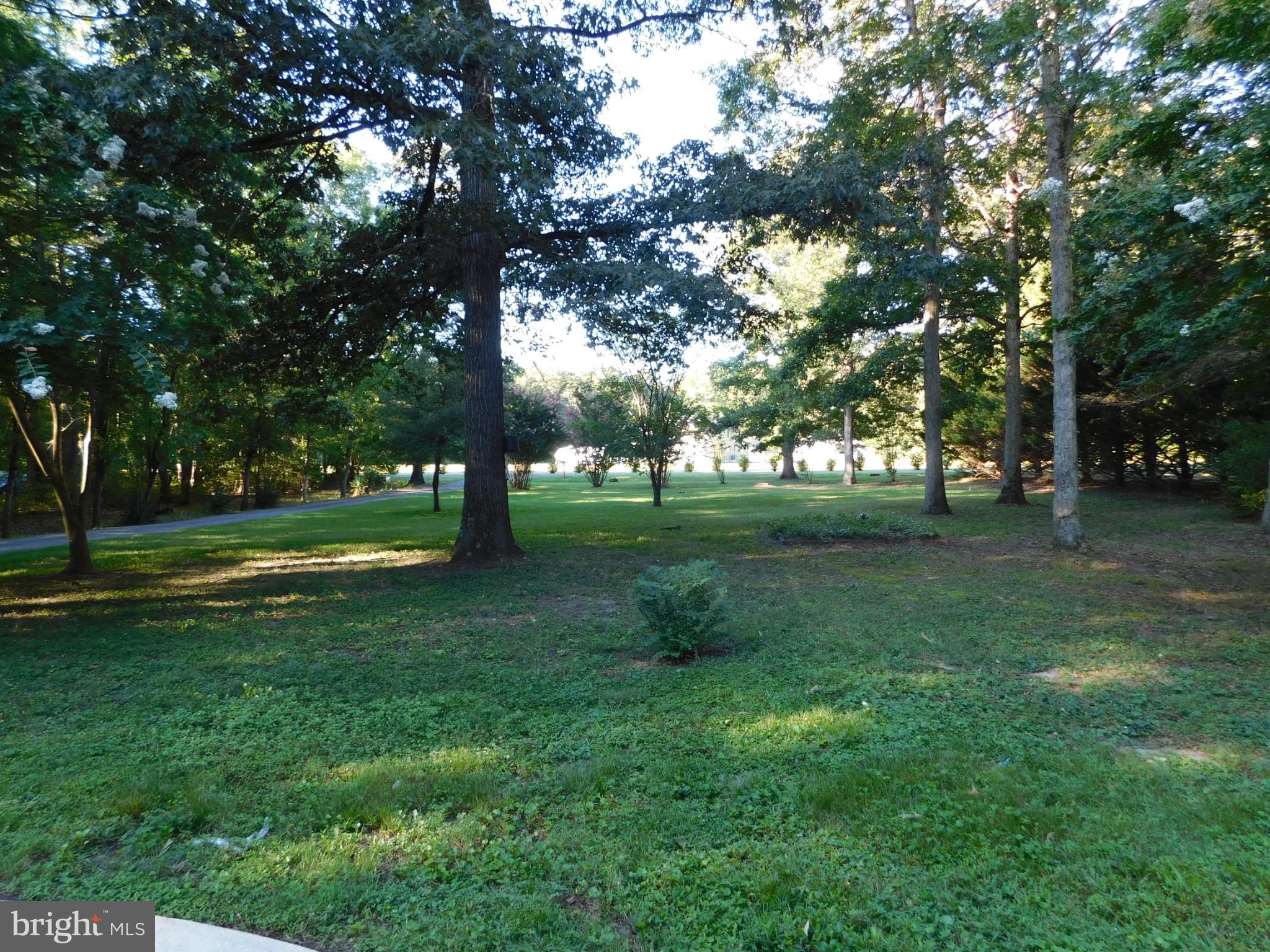 2608 Hunting Quarter Road Houston, DE 19954 - Photo 56 of 58 a view of park space