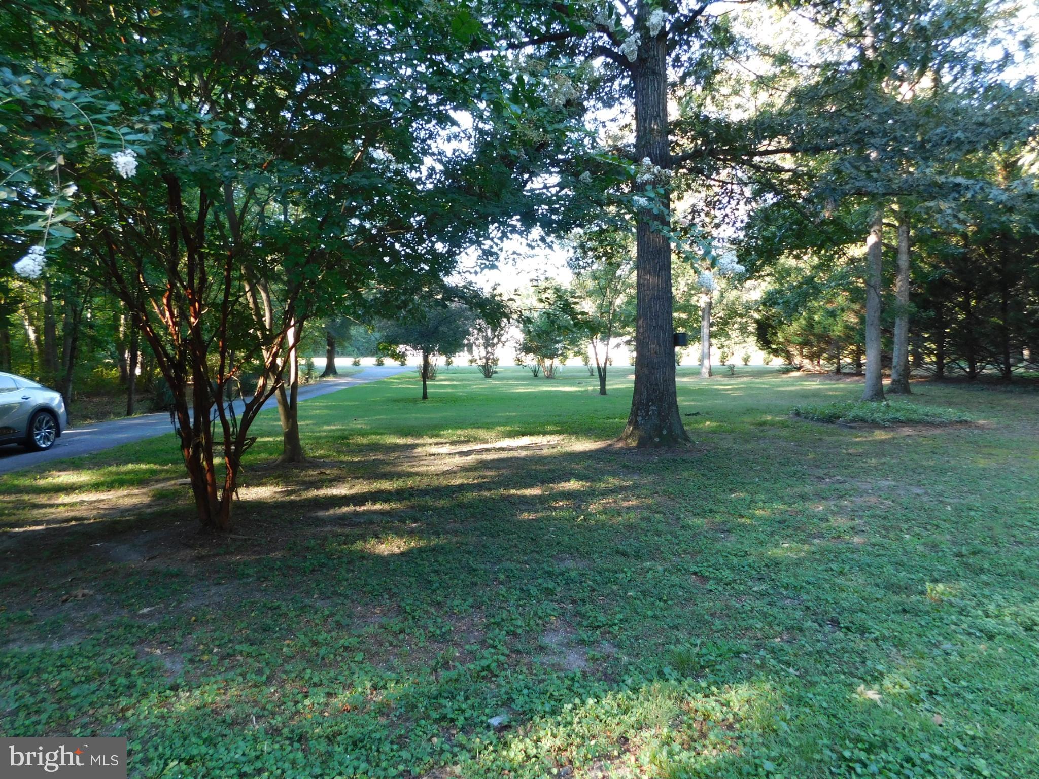 2608 Hunting Quarter Road Houston, DE 19954 - Photo 57 of 58 a view of a trees in the park