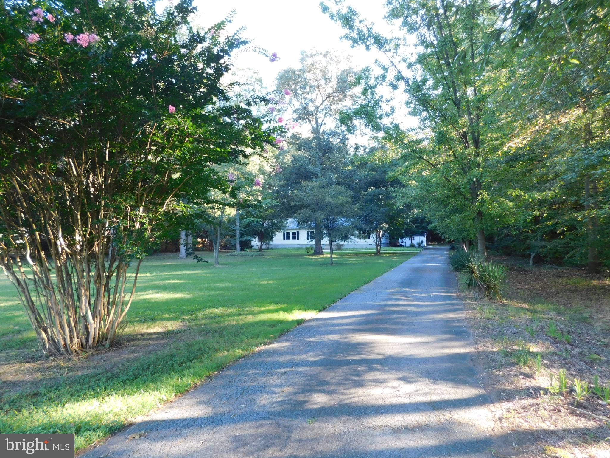 2608 Hunting Quarter Road Houston, DE 19954 - Photo 58 of 58 a park view with large trees