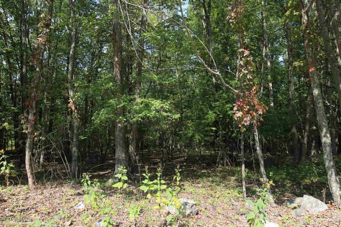 Penvir Road Narrows, VA 24124 - Photo 2 of 3 Gallery Image 2