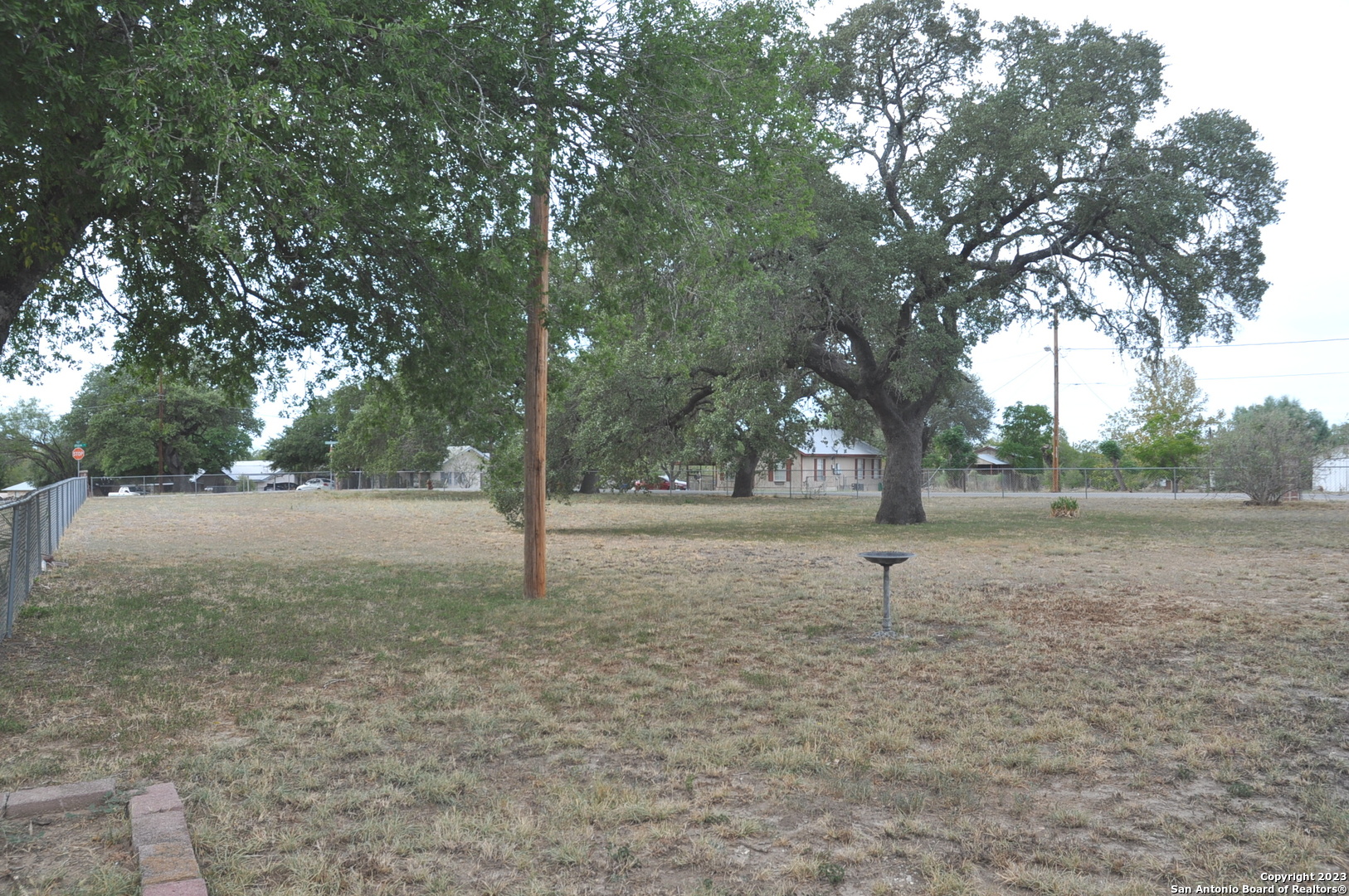 402 West Dilley Avenue Devine, TX 78016 - Photo 2 of 11 a view of dirt yard with a tree