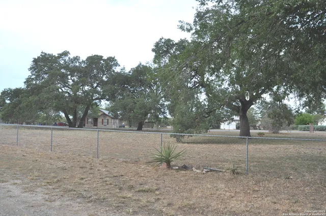 a view of a yard with trees in the background