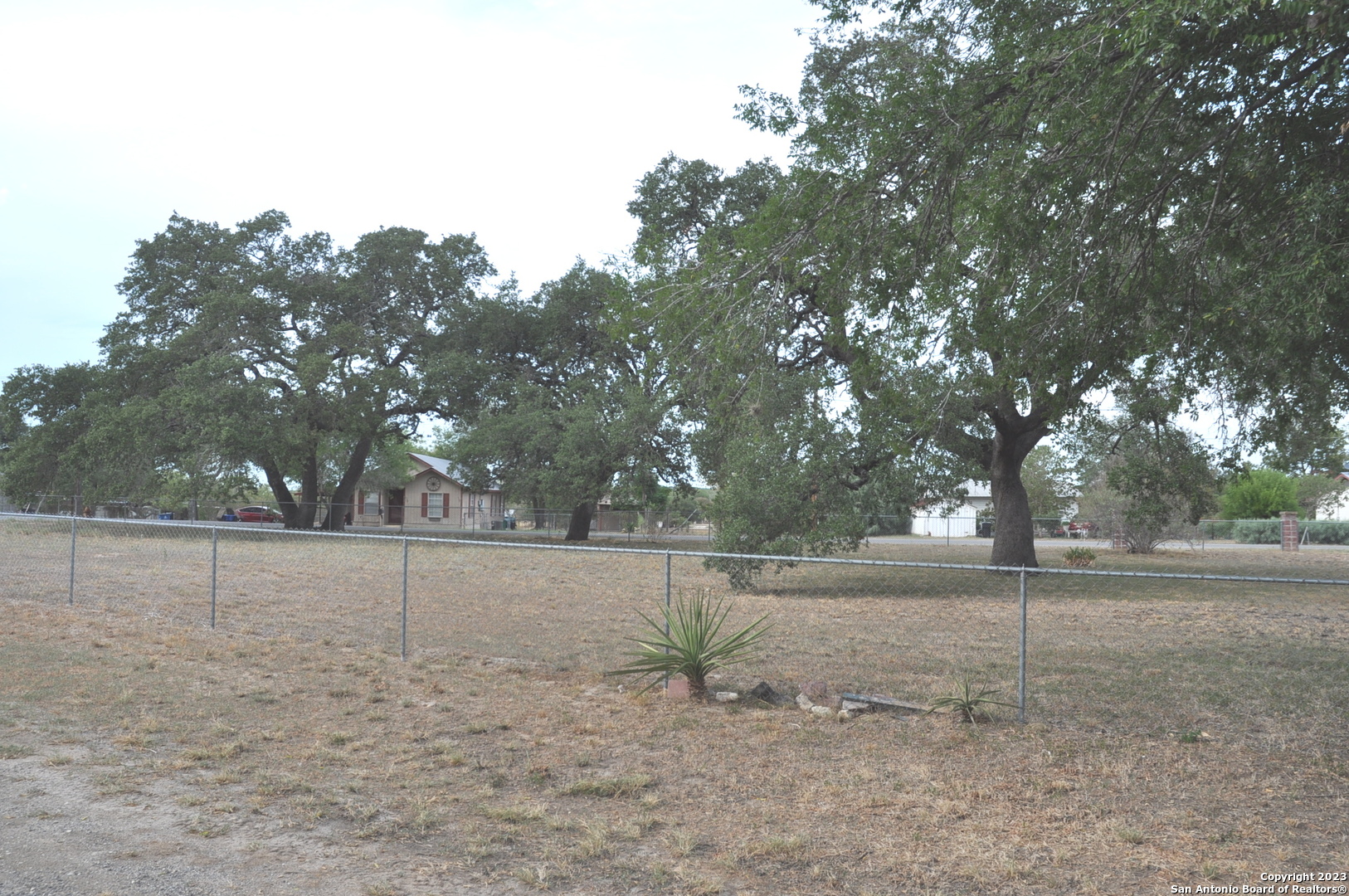 402 West Dilley Avenue Devine, TX 78016 - Photo 3 of 11 a view of a yard with trees in the background