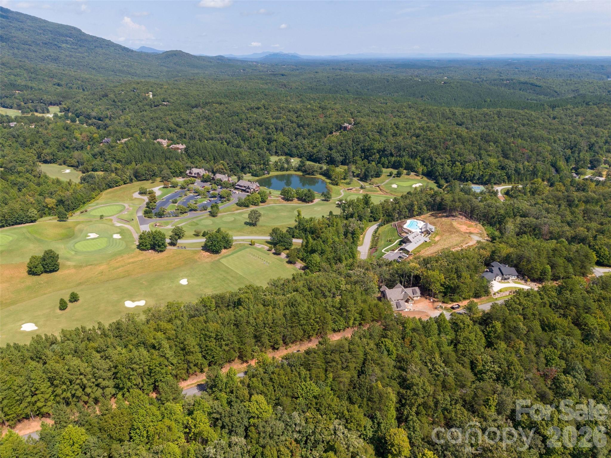 0 Deep Gap Farm Road East, Unit 2007 Mill Spring, NC 28756 - Photo 3 of 11 Gallery Image 3