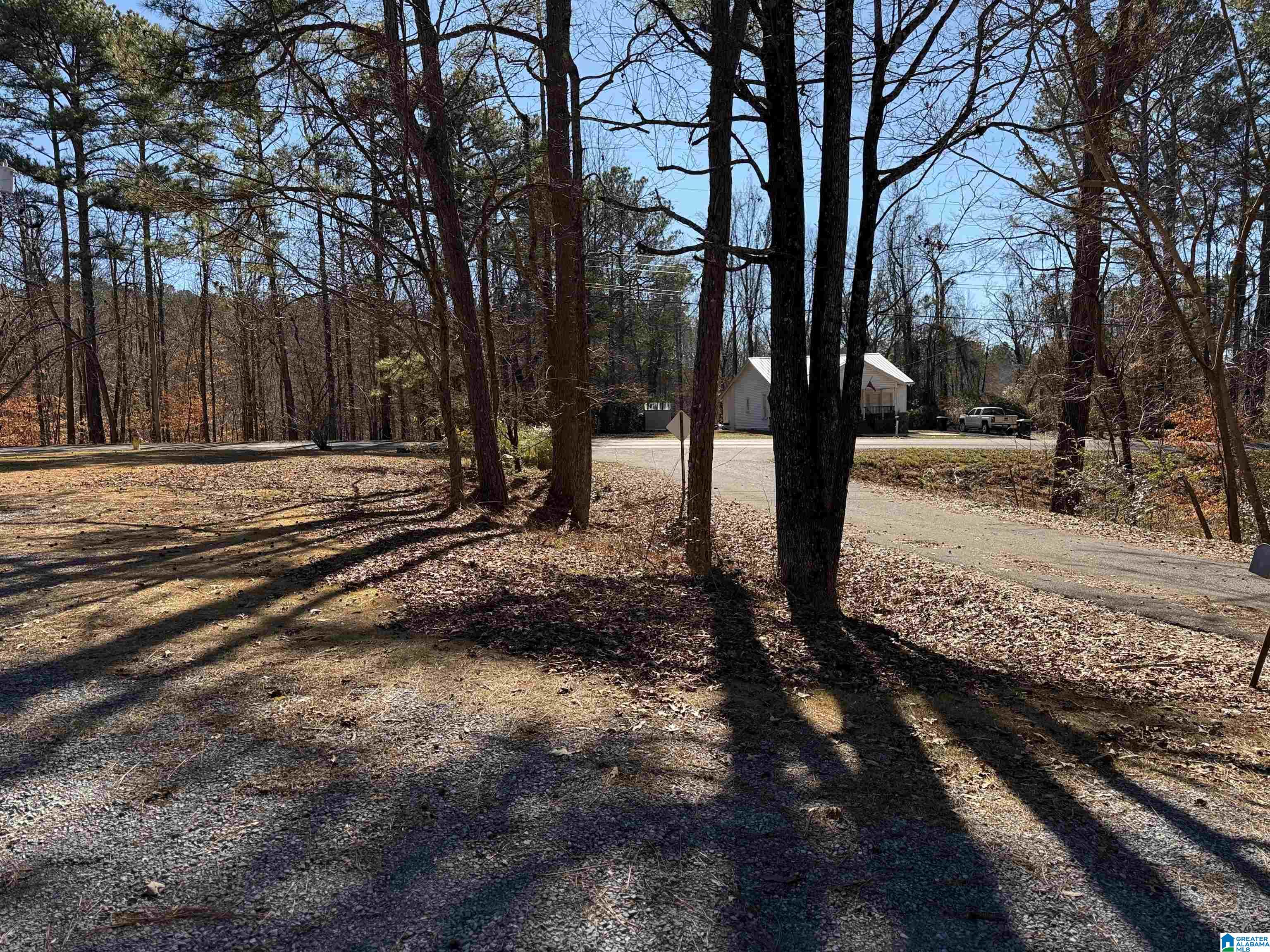 20 Shell Lane Sylacauga, AL 35150 - Photo 9 of 36
