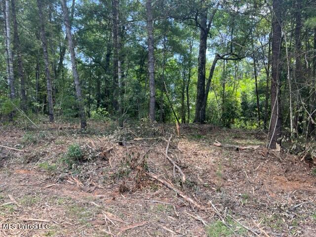 River Walk Drive Vancleave, MS 39565 - Photo 2 of 2 IMG_2457