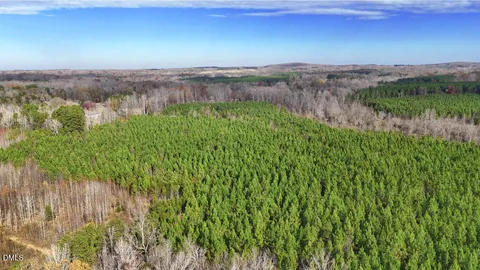 a view of a lush green forest with lots of green plants and fog
