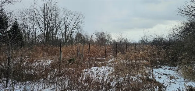 $315,000 | 5596 County Road 1, Hector, NY 14886