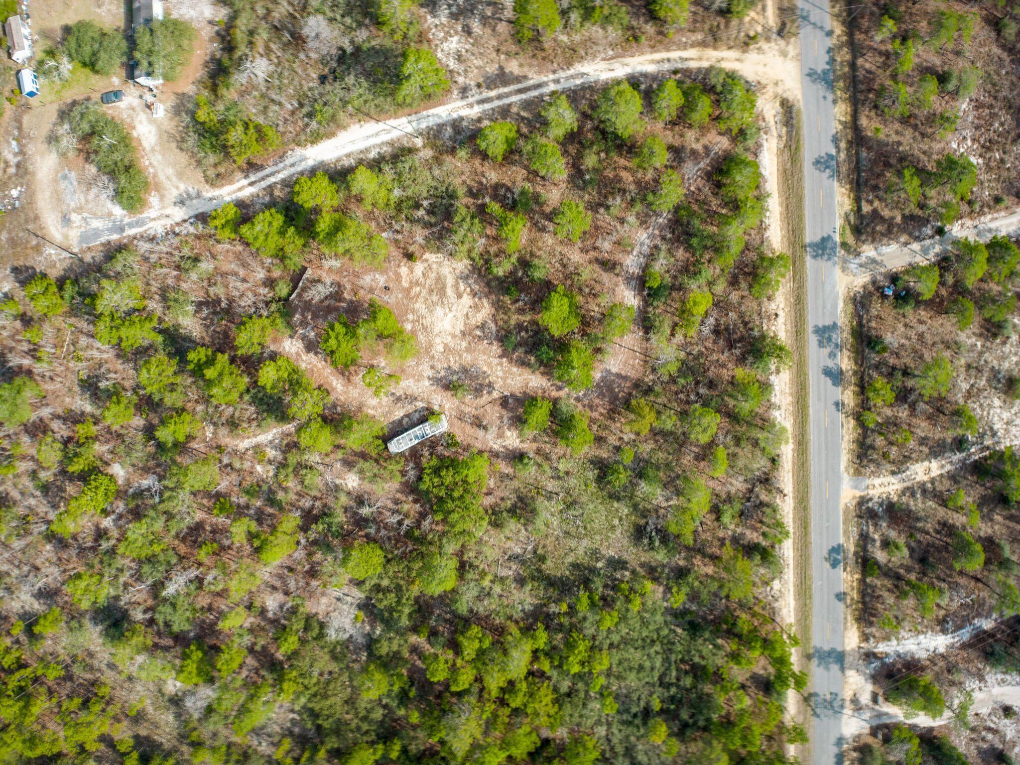 Tbd Don Graff Road Freeport, FL 32439 - Photo 6 of 14 a close up of a tree