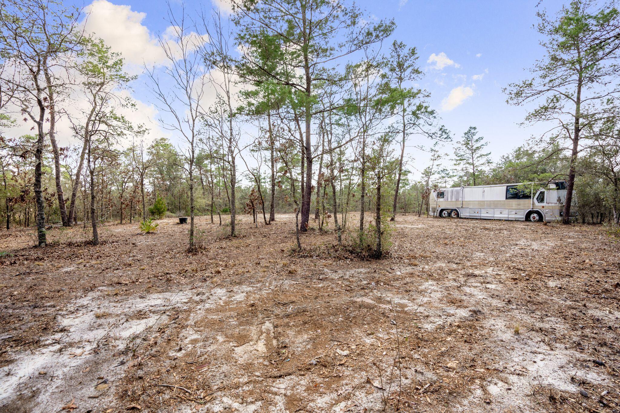 Tbd Don Graff Road Freeport, FL 32439 - Photo 8 of 14 a view of road with trees