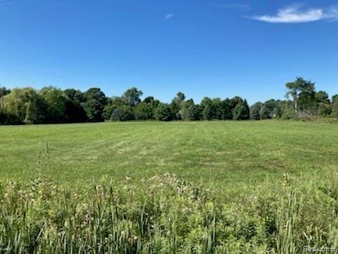80201 Capac Road Armada, MI 48005 - Photo 9 of 10