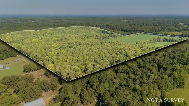 a view of an ocean from a yard