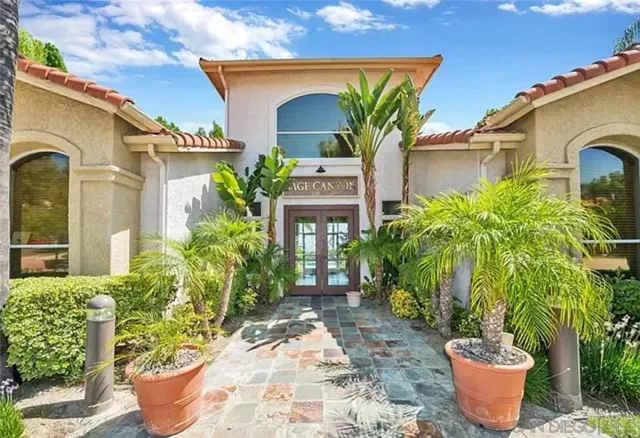 a potted plant sitting in front of a house