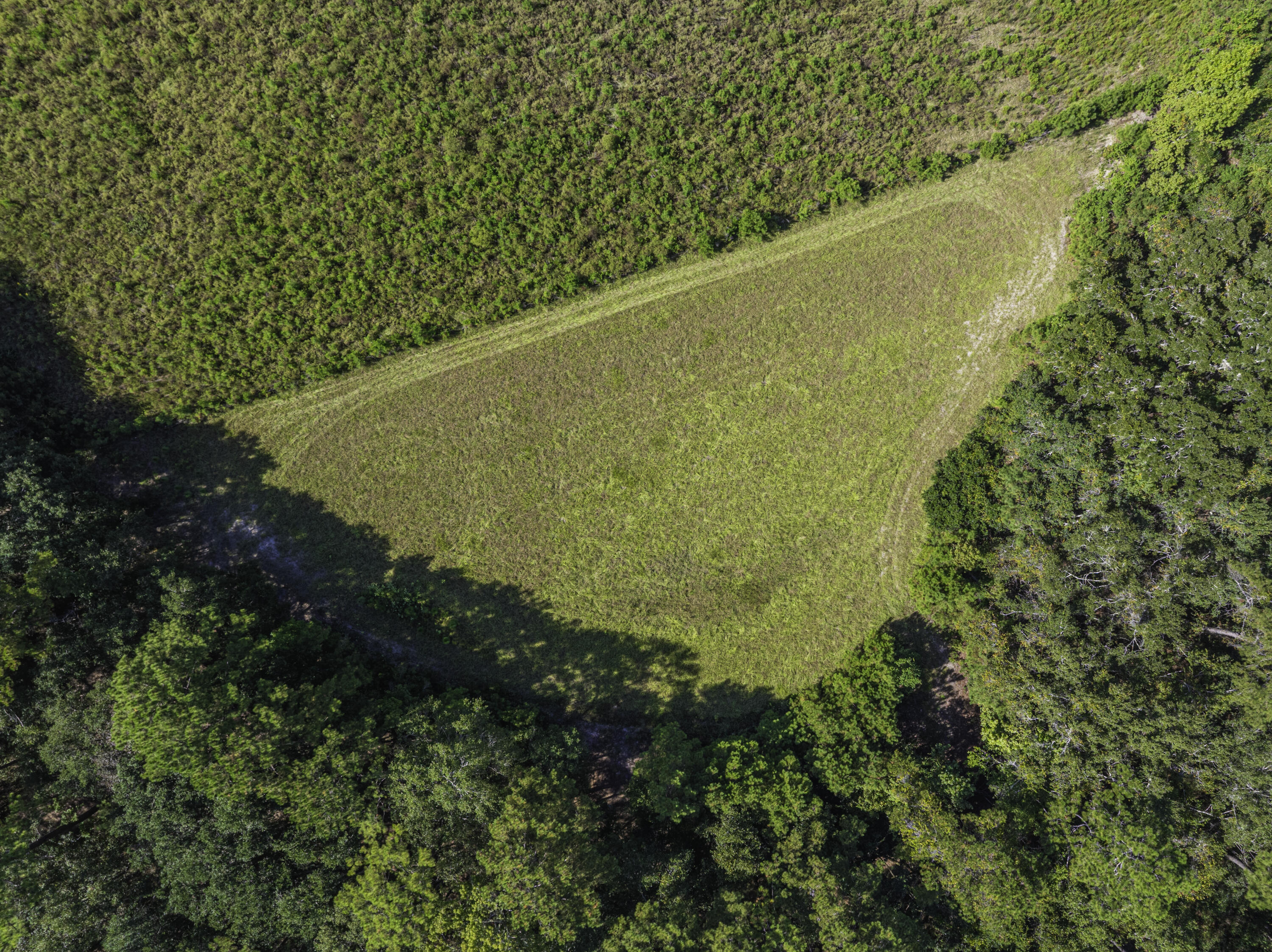 1014 Fire Hill Road Walterboro, SC 29488 - Photo 66 of 162 Aerial