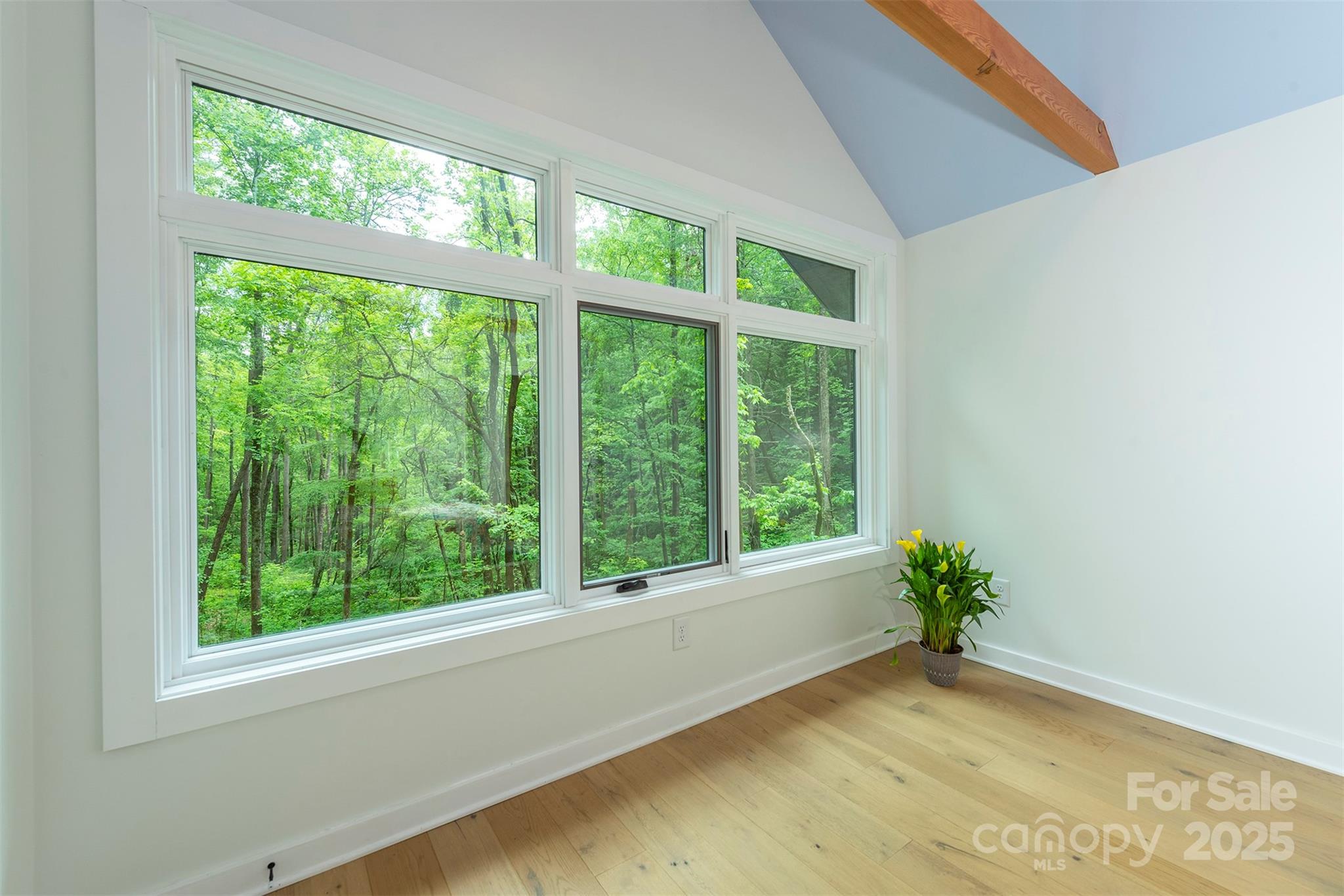 401 Winterle Road Black Mountain, NC 28711 - Photo 22 of 44 a view of an empty room with a window and a potted plant