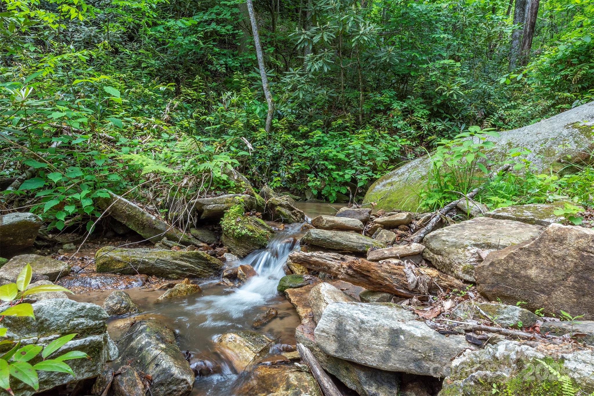 401 Winterle Road Black Mountain, NC 28711 - Photo 25 of 44 a view of outdoor space and yard
