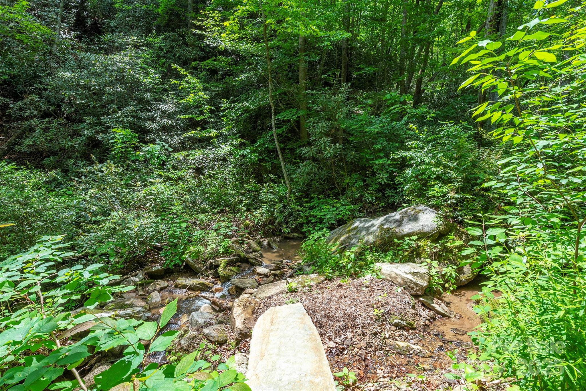401 Winterle Road Black Mountain, NC 28711 - Photo 29 of 44 a view of a backyard