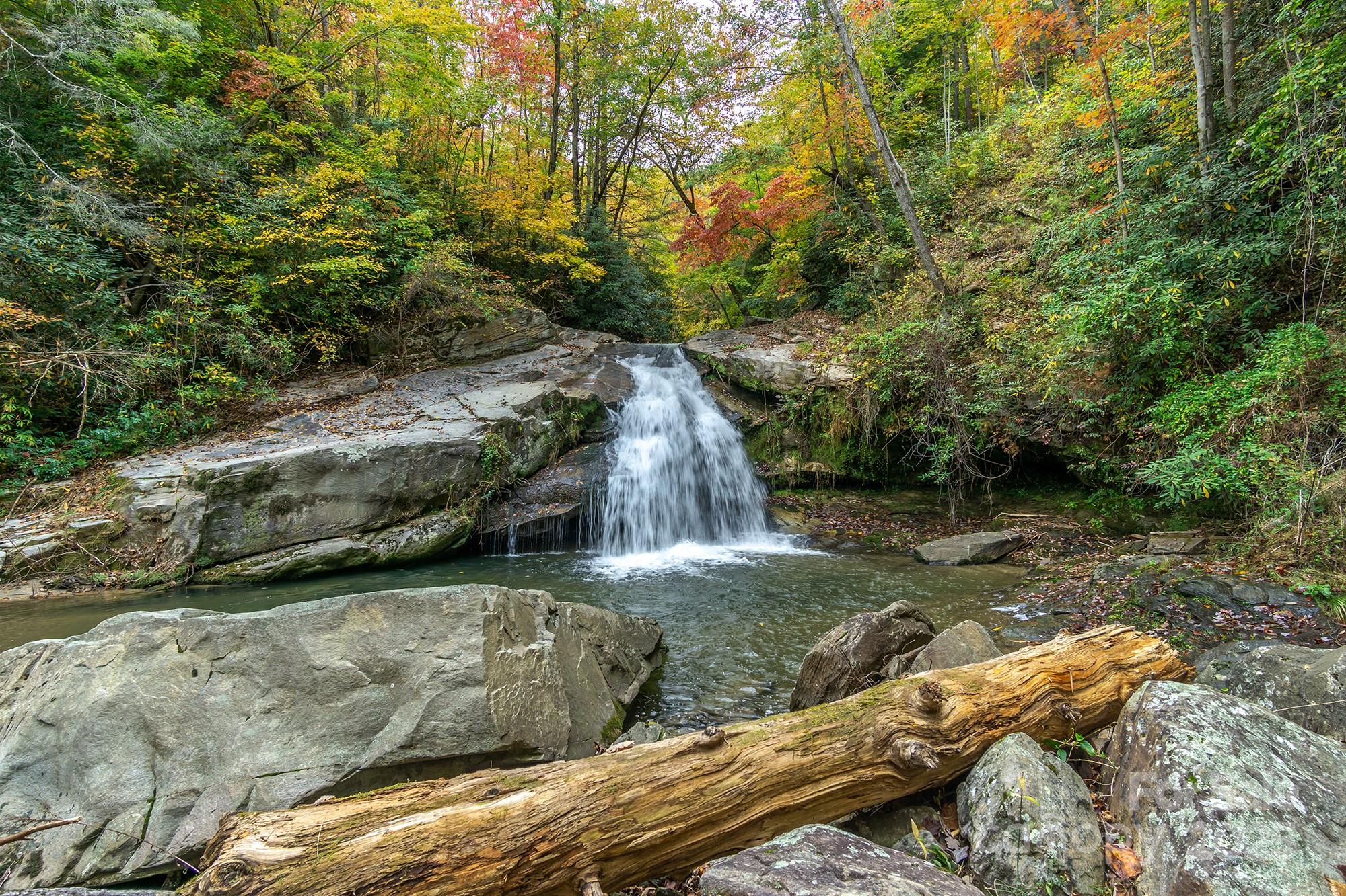401 Winterle Road Black Mountain, NC 28711 - Photo 41 of 44 a view of outdoor space and yard