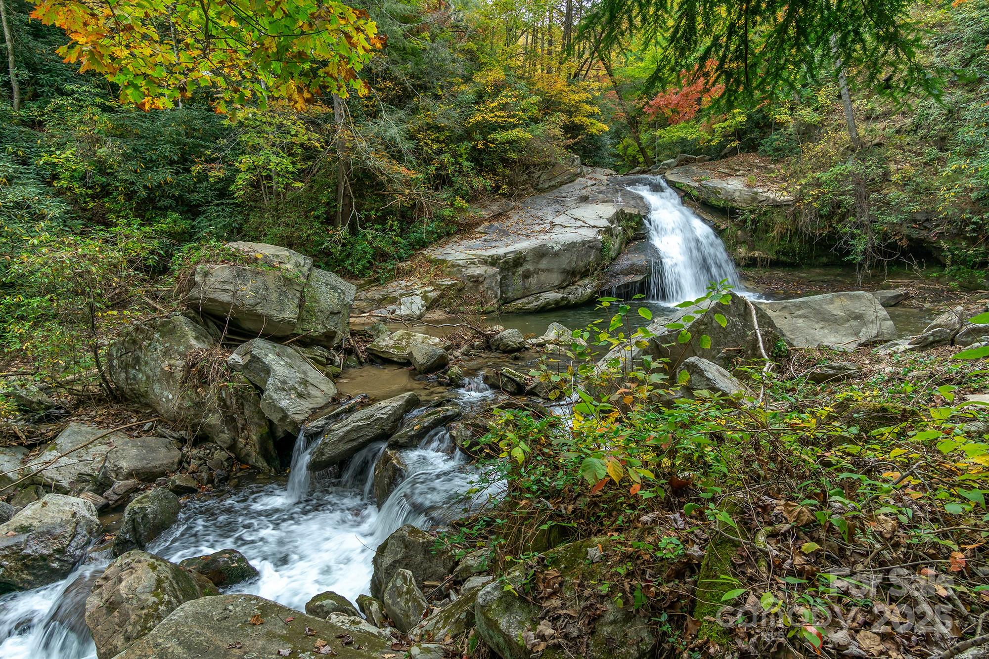 401 Winterle Road Black Mountain, NC 28711 - Photo 42 of 44 a backyard of a house with lots of green space