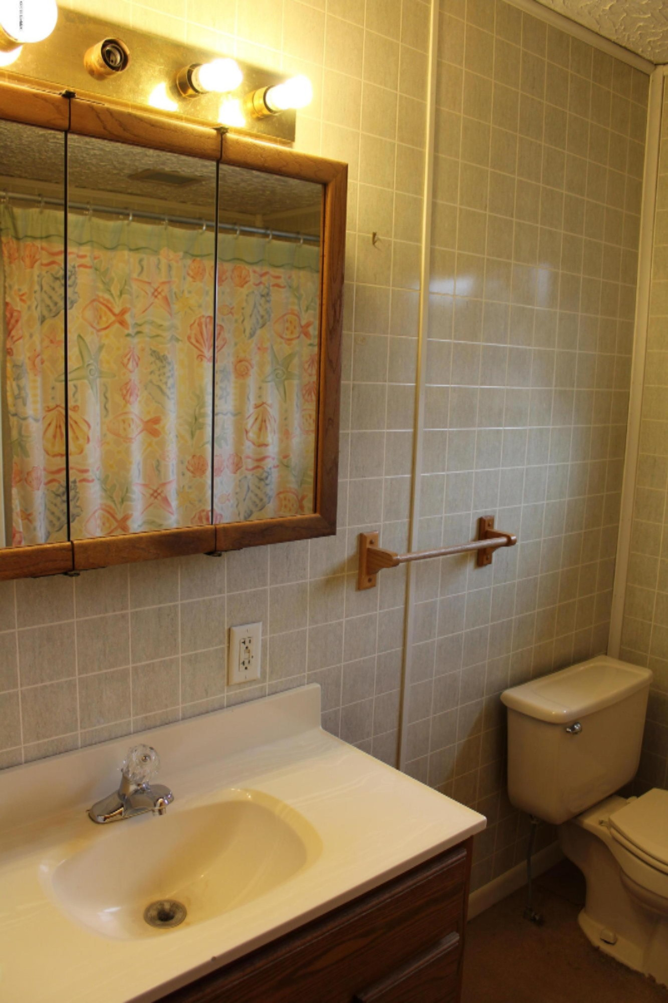9665 Colby Road Greenville, MI 48838 - Photo 20 of 29 IMG_1193