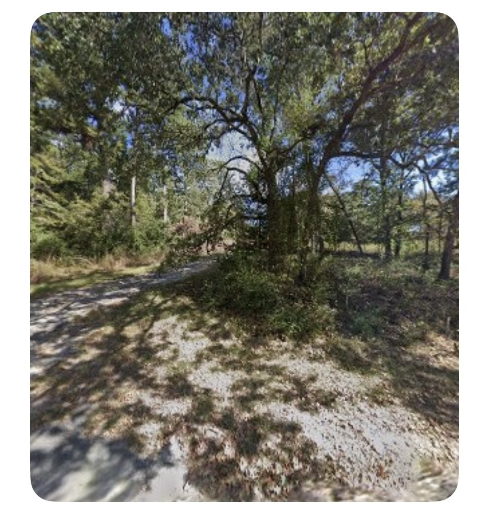 201 Chinquapin Road Trinity, TX 75862 - Photo 4 of 8 a view of outdoor space and a yard